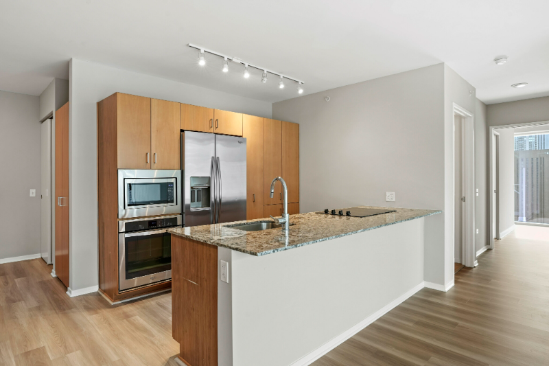 Chicago Condo: 215 East Illinois