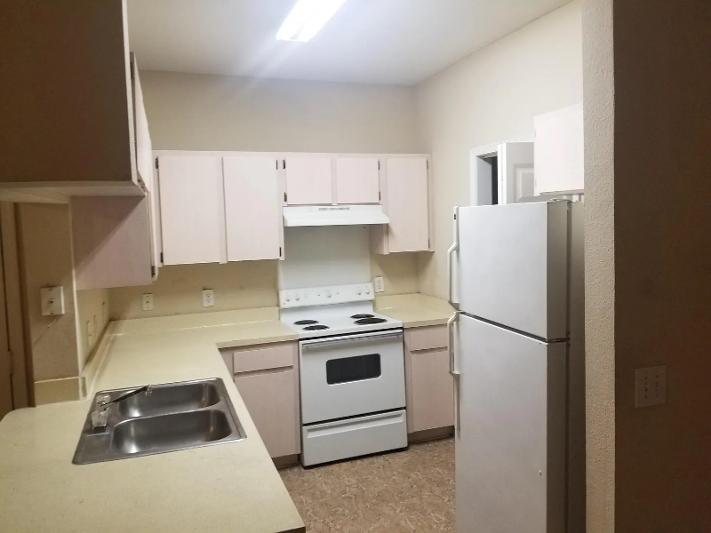 Temple Terrace Apartment: 13205 Sanctuary Cove Dr