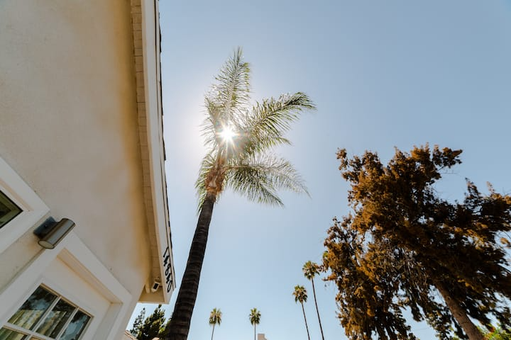 Van Nuys Multiplex: 14836 Archwood Street