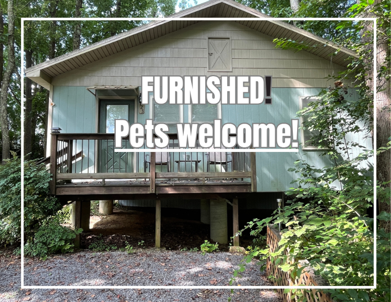 Johnson City Condo: 123 Voncannon Drive