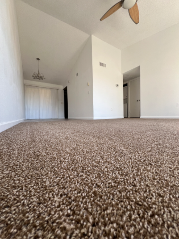 Mesa Condo: 461 W Holmes Ave