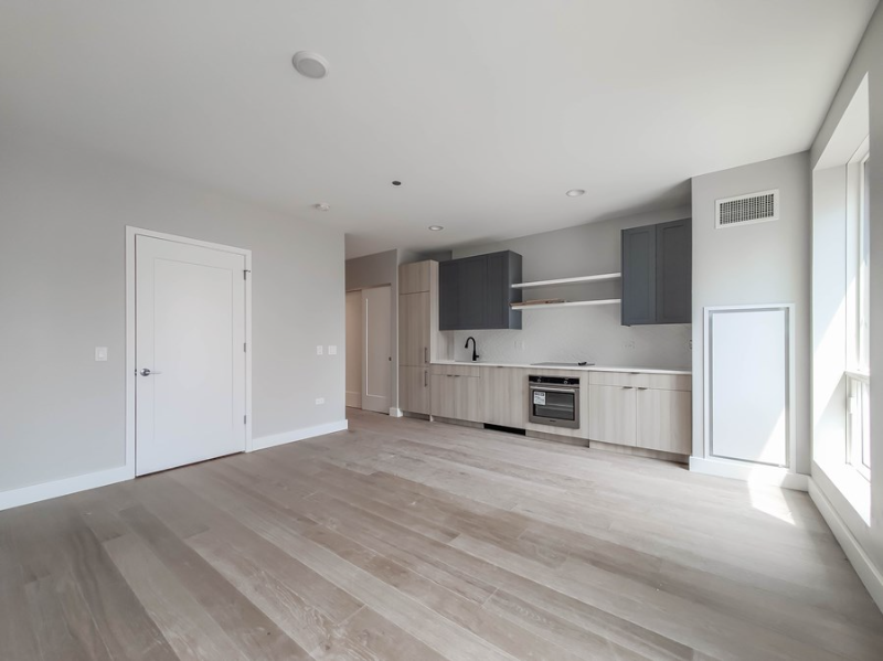 Chicago Condo: 1215 N Clark St