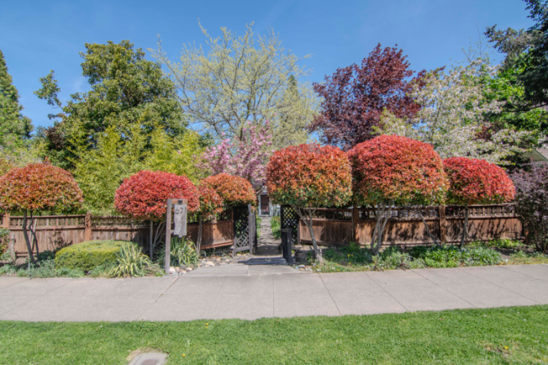 Ashland House: 671 Siskiyou Blvd