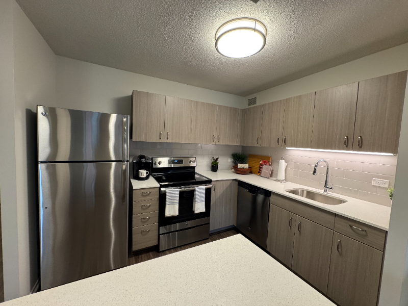 Chicago Condo: 1122 N Dearborn St