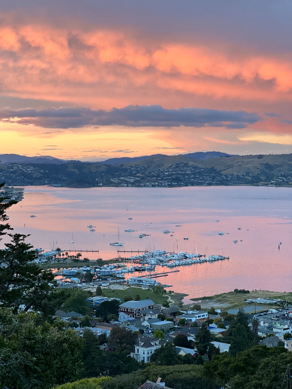 Sausalito House: 136 Spencer Avenue