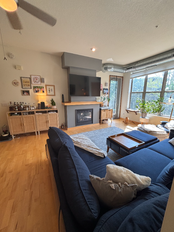 Saint Louis Park Condo: 3640 Wooddale Ave South