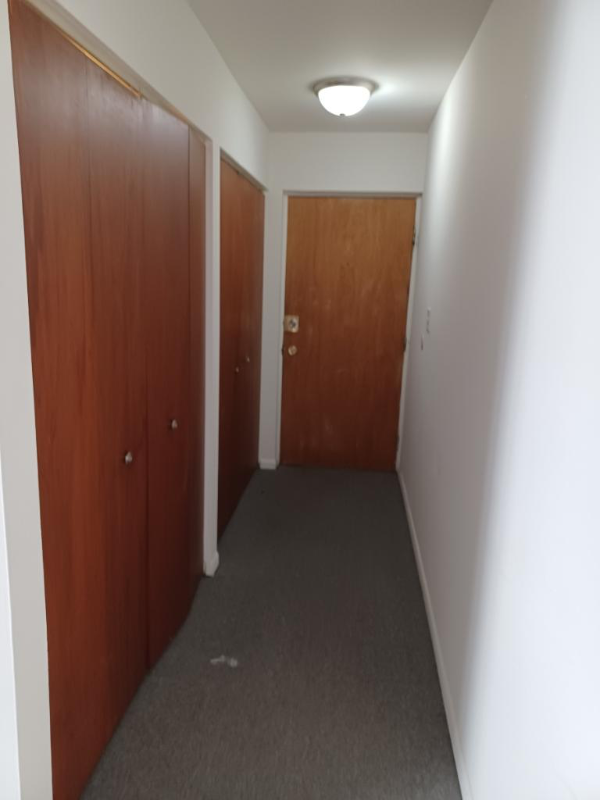 Oak park Condo: 320 N Austin