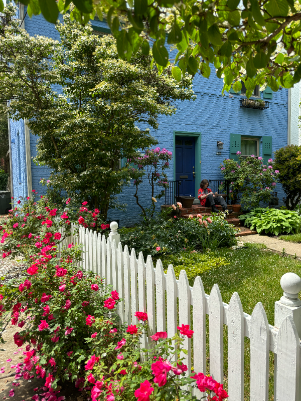 Washington Townhome: 4514 Albemarle Street NW