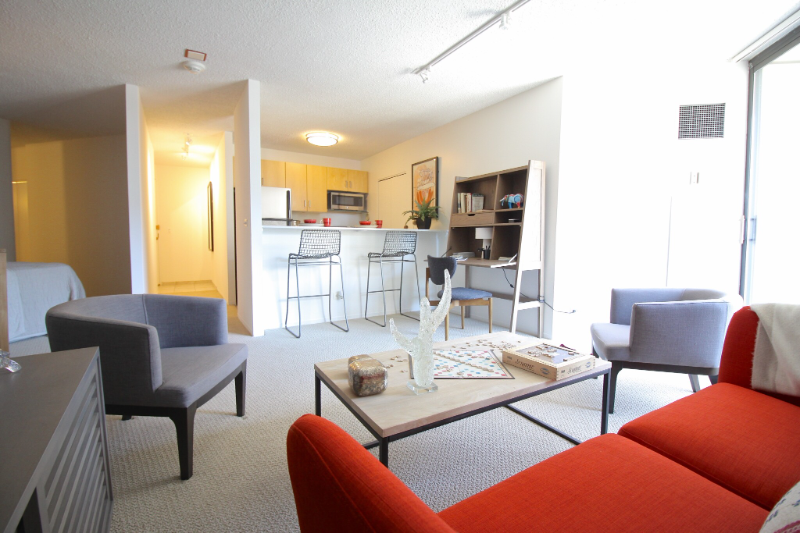 Chicago Condo: 746 N Dearborn