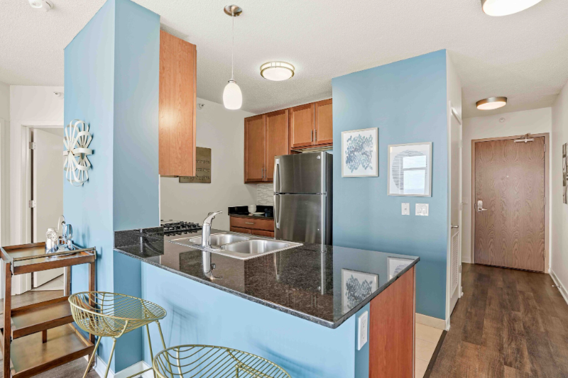 Chicago Condo: 550 W Kinzie St