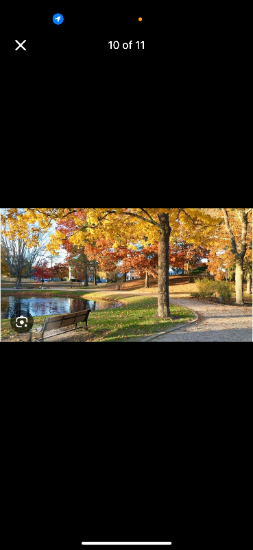 whitman House: 85 whitman ave