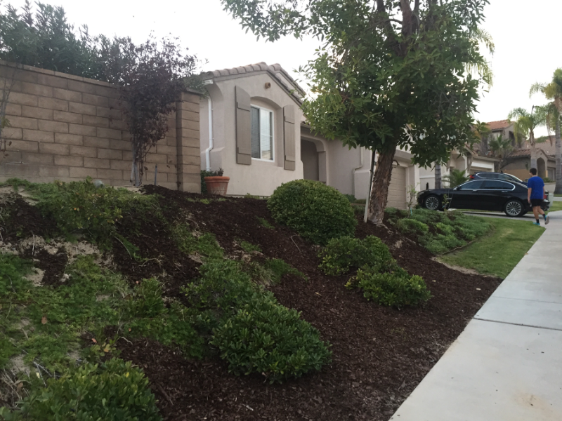Chula Vista House: 556 Rocking Horse Drive
