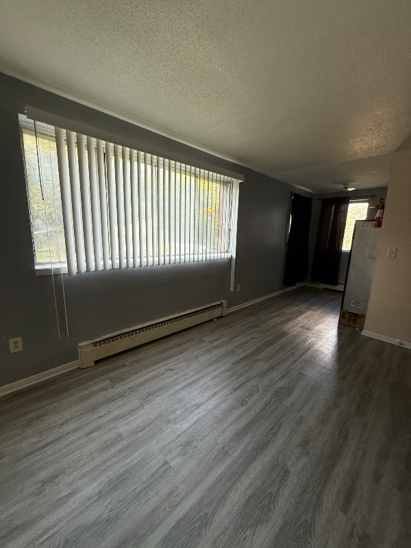 Saint Paul Apartment: 280 Winifred st w