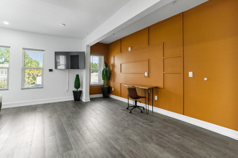 Tampa Apartment: 935 S Howard ave