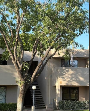 Mesa Condo: 1920 W Lindner Ave W #108