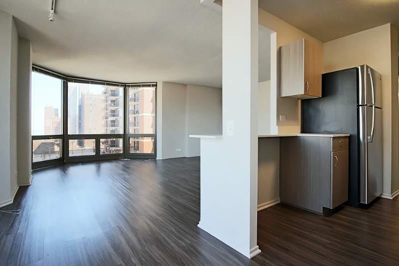 Chicago Condo: 1113 N Dearborn