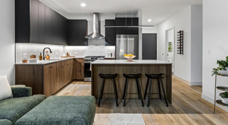 Chicago Condo: 209 E Grand