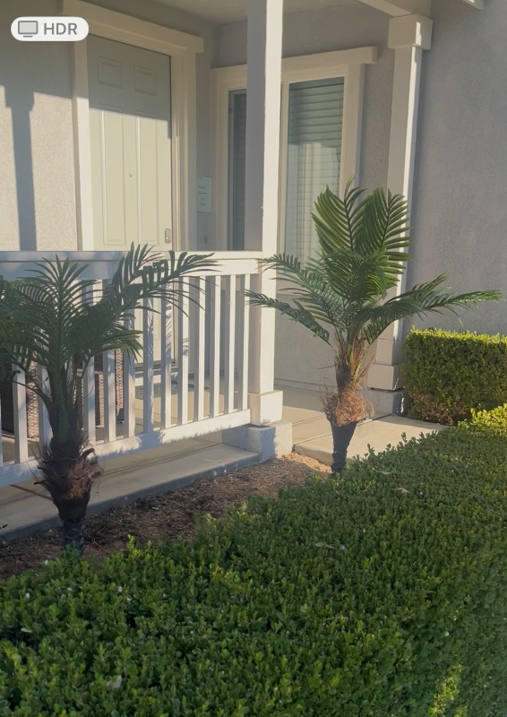 Eastvale Multiplex: 8418 Lourenco Lane