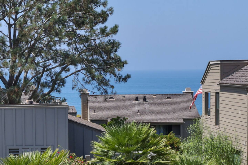 Del Mar Condo: 295 Sea Forest Court