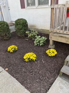 Wilmington House: 231 5th Avenue