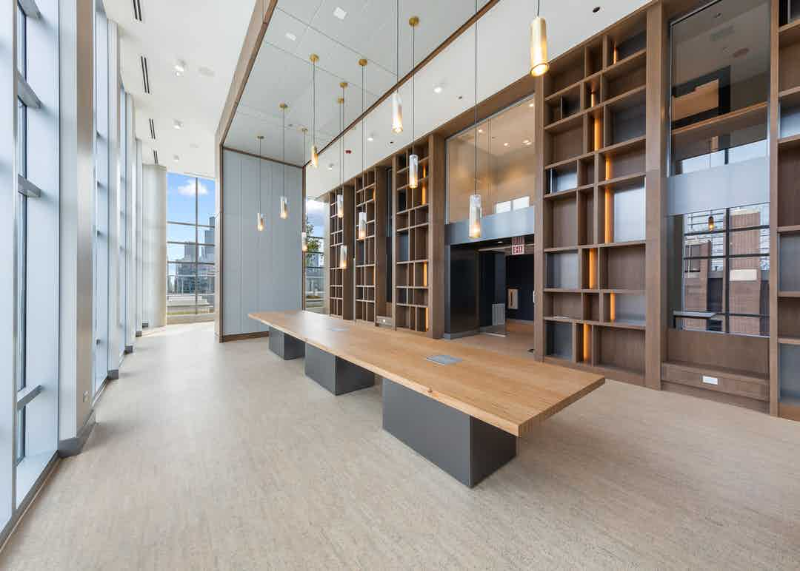 Chicago Apartment: 800 N wells