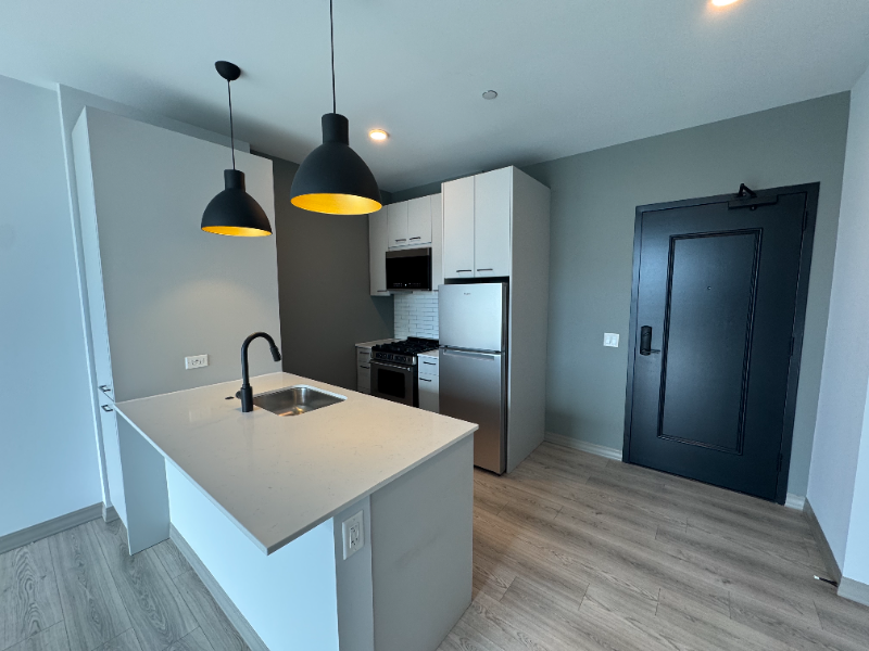 Chicago Condo: 2131 N Elston