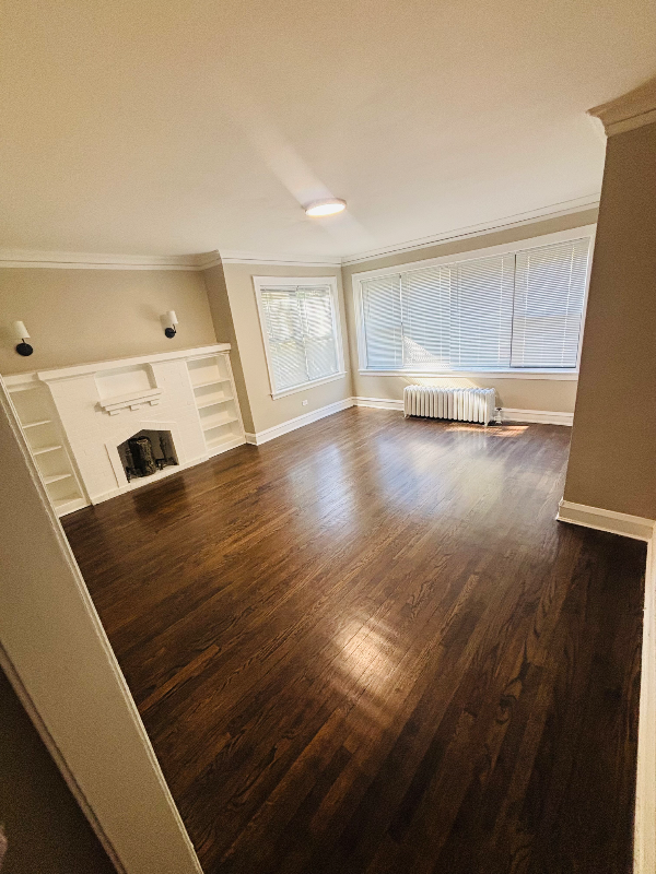 Chicago Apartment: 704 E 80th