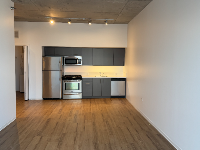 Chicago Condo: 1601 W Division Street