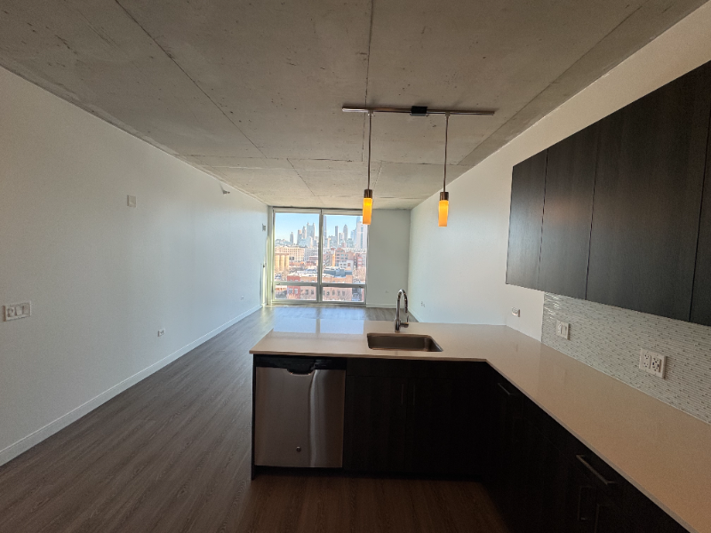 Chicago Condo: 1001 W Chicago Ave