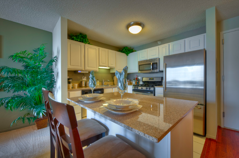 Chicago Condo: 575 N State St
