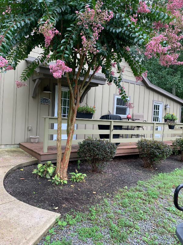 Leesburg Other: 42085 Sweet Spring Lane