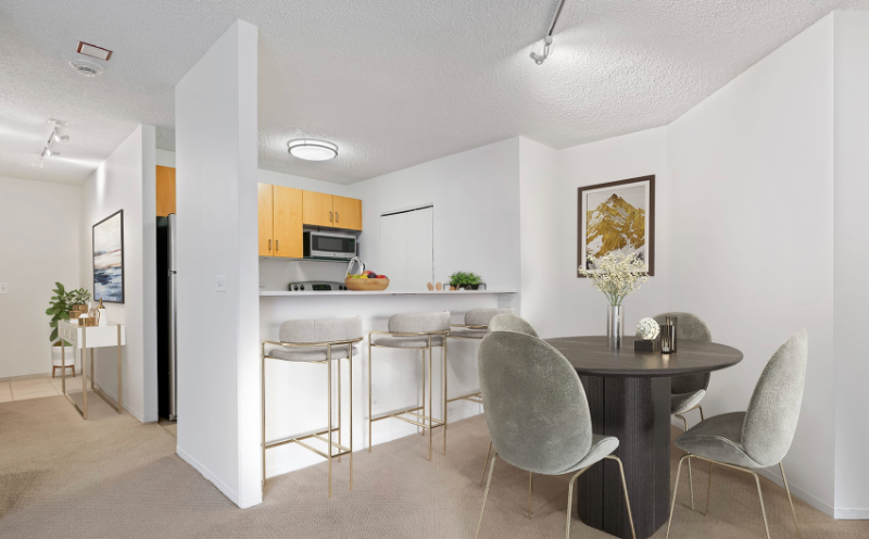 Chicago Condo: 710 N. Dearborn