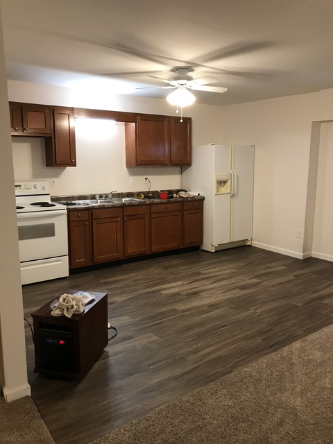memphis Apartment: 117 Main St
