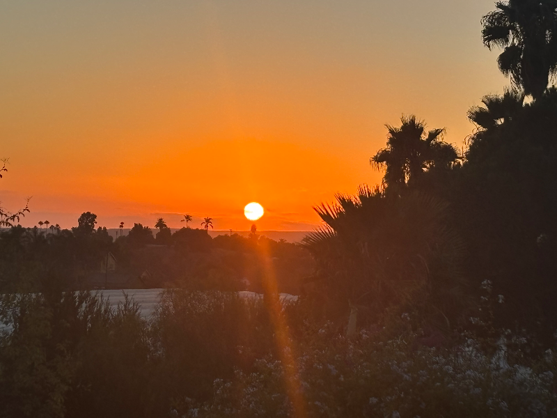 Vista Other: 315 Osborne Street