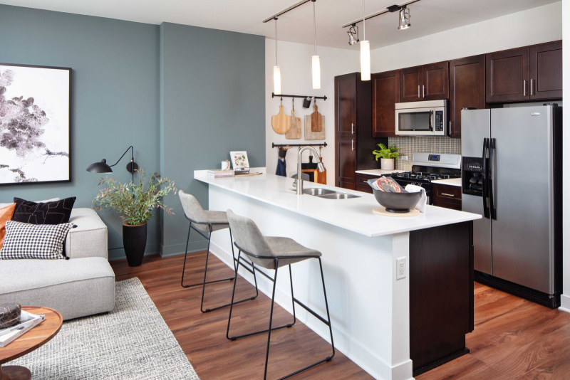 Chicago Condo: 1220 North Wells