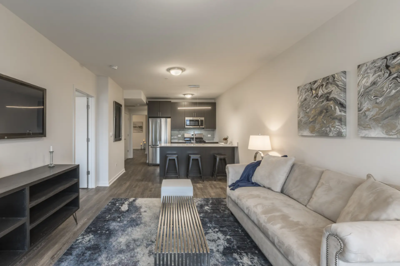 Chicago Condo: 230 W Evergreen Ave