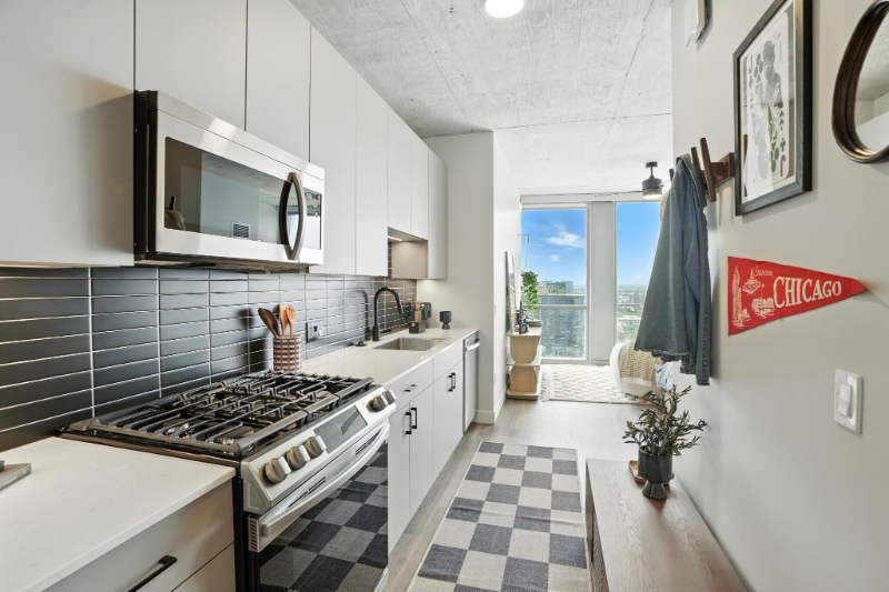 Chicago Condo: 1100 w carroll ave
