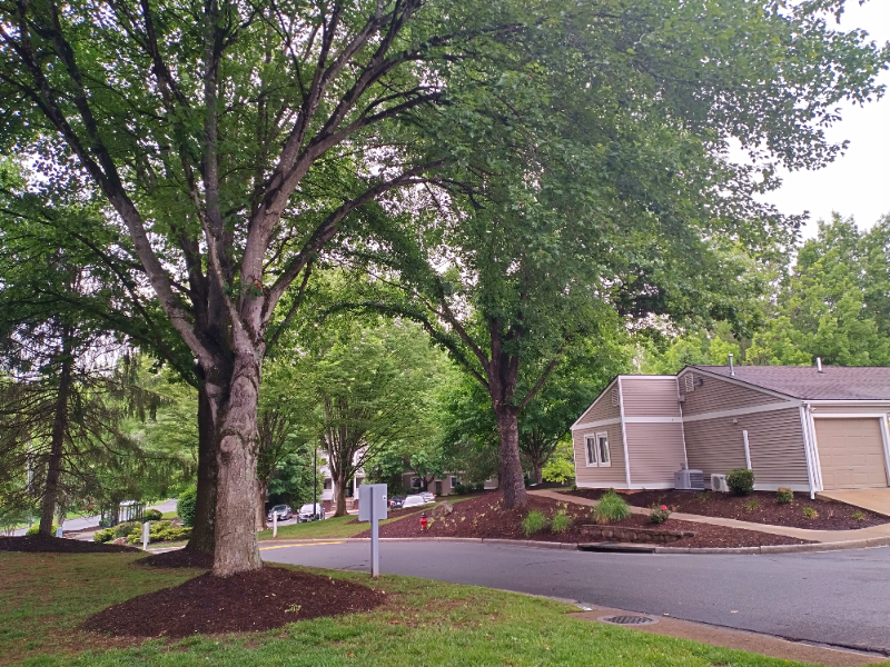 Lynchburg Apartment: 600 Reusens Road