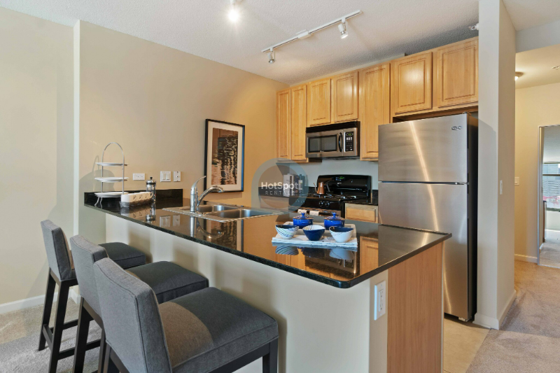 Chicago Condo: 363 North Des Plaines