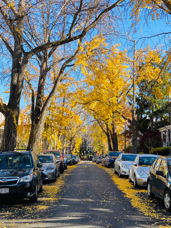 Washington Multiplex: 1318 Corbin Pl NE