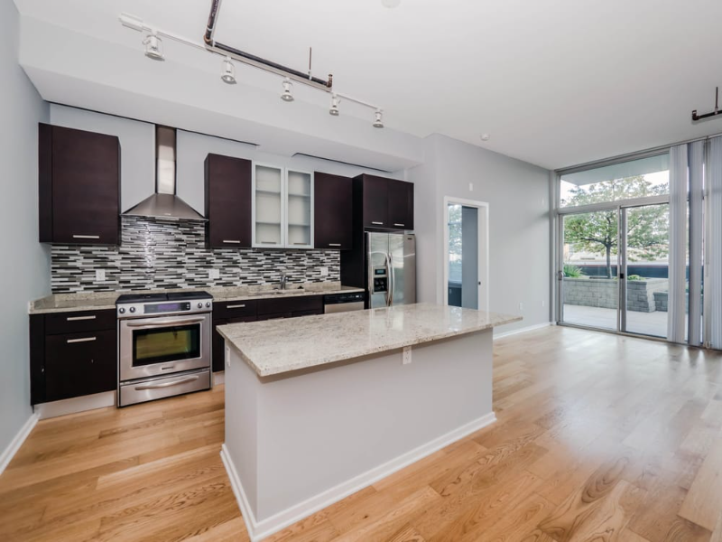 Chicago Condo: 1169 s plymouth ct