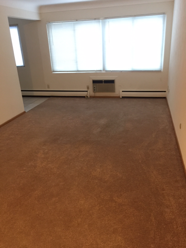 St. Paul Apartment: 556 jenks ave e