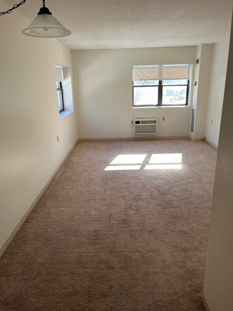 Wellesley Hills Apartment: 4 Cedar St