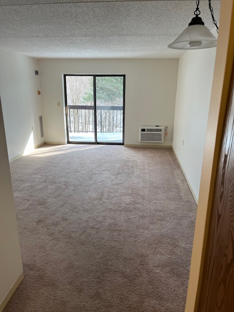 Wellesley Hills Apartment: 4 Cedar St