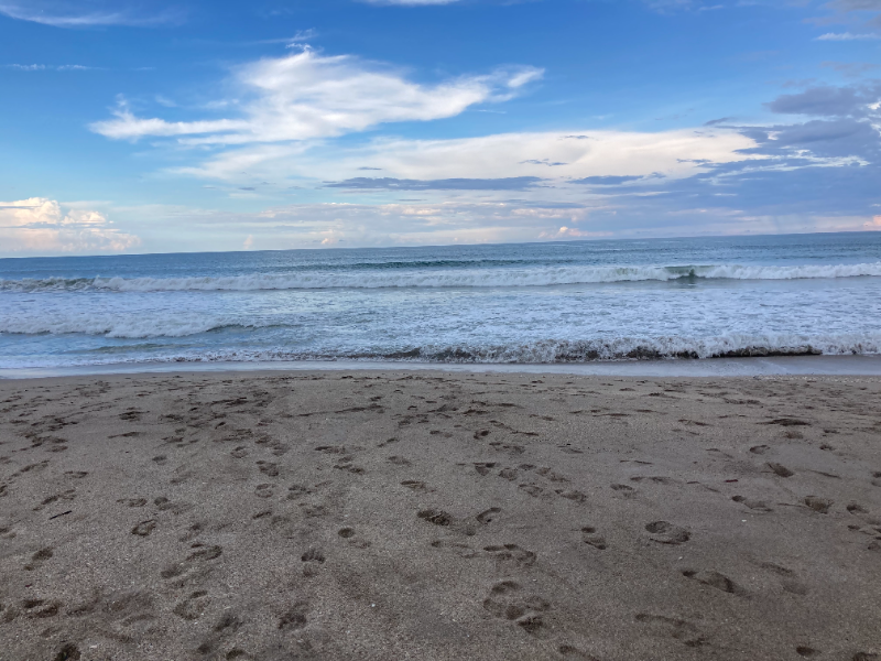 Jensen Beach House: 2078 Nettles Blvd.