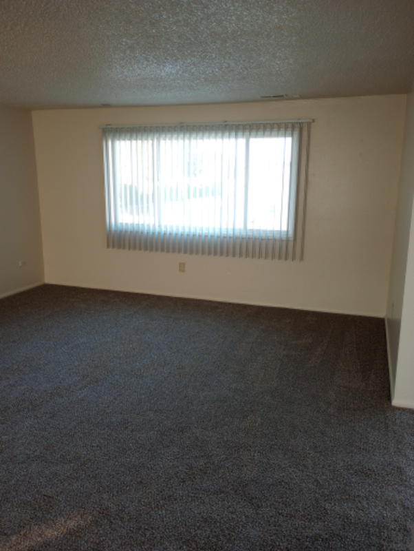 Kennewick Other: 703 N Tweedt St