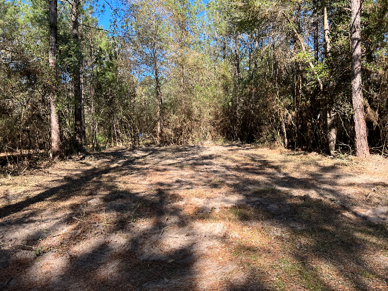 Zavalla Other: 310 Cotten Ln