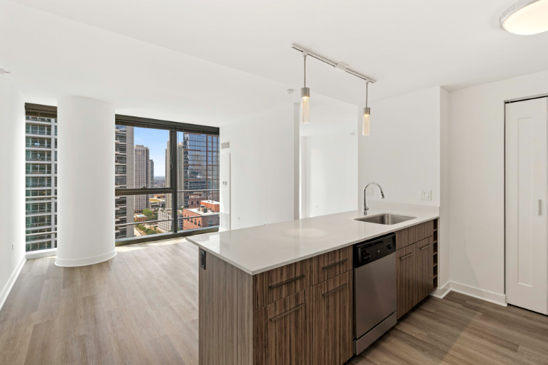 Chicago Condo: 356 W Wolf Point Plaza