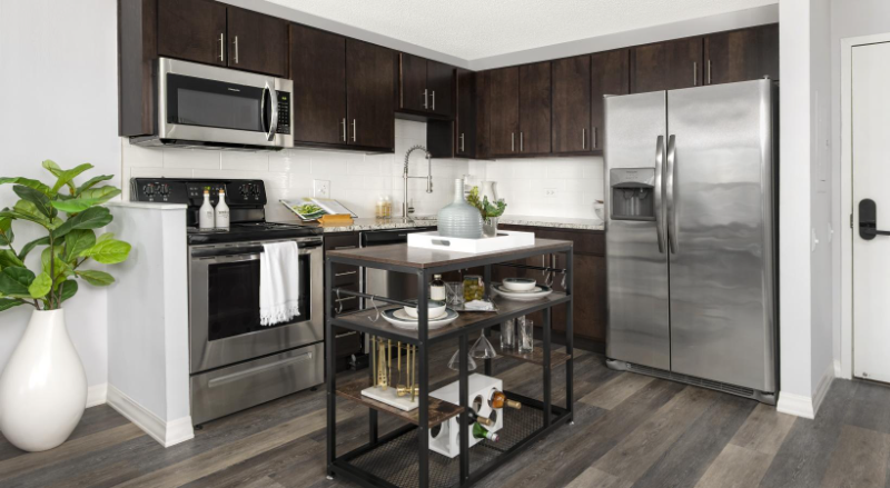 Chicago Condo: 5 West Chestnut St