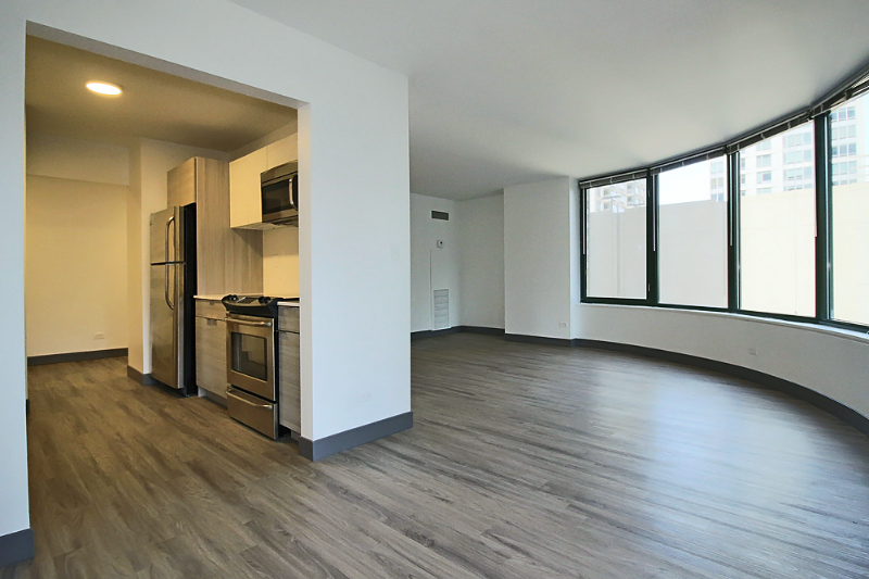Chicago Condo: 489 E Ohio St